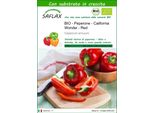 Saflax -- Peperone - California Wonder - Red - 20 Semi - Con Substrato - Capsicum