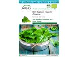 Saflax Set Regalo -- Spinaci - Gigante D'inverno - 250 Semi - Spinacia