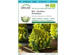 Saflax Set Regalo -- Cavolfiore - Romanesco - 50 Semi - Brassica
