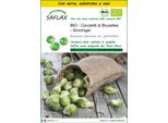 Saflax Insieme Di Coltivazione -- Cavoletti Di Bruxelles - Groninger - 30 Semi - Brassica