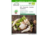 Saflax - Bio - Ravanello - Candela Di Ghiaccio - 100 Semi - Con Substrato - Raphanus