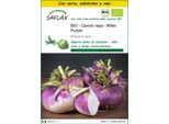 Saflax Insieme Di Coltivazione -- Cavolo Rapa - Milan Purple - 600 Semi - Brassica