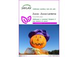Saflax - Zucca - Zucca Lanterna - 10 Semi - Cucurbita