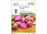 Saflax -- Barbabietola - Chioggia - 70 Semi - Beta