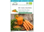 Saflax Set Regalo -- Carota - Early Nantes - 1500 Semi - Daucus