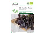 Saflax -- Basilico Rosso - 400 Semi - Ocimum