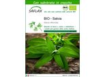 Saflax -- Salvia - 60 Semi - Con Substrato - Salvia
