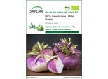Saflax -- Cavolo Rapa - Milan Purple - 600 Semi - Brassica