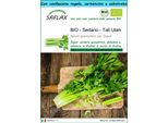 Saflax Set Regalo -- Sedano - Tall Utah - 500 Semi - Apium
