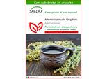 Saflax - Artemisia Annuale Qing Hao - 250 Semi - Con Substrato - Artemisia