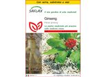 Saflax Insieme Di Coltivazione - Ginseng - 10 Semi - Panax