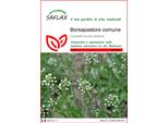 Saflax - Borsapastore Comune - 1000 Semi - Capsella