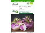 Saflax -- Cavolo Rapa - Milan Purple - 600 Semi - Con Substrato - Brassica