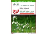Saflax - Billeri Dei Prati - 100 Semi - Con Substrato - Cardamine