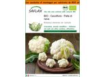 Saflax Garden In The Bag -- Cavolfiore - Palla Di Neve - 70 Semi - Brassica