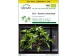 Saflax Insieme Di Coltivazione -- Basilico Tailandese - 250 Semi - Ocimum
