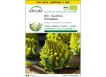 Saflax Insieme Di Coltivazione -- Cavolfiore - Romanesco - 50 Semi - Brassica