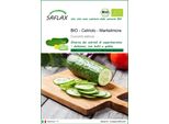 Saflax -- Cetriolo - Marketmore - 20 Semi - Cucumis