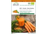 Saflax Garden In The Bag -- Carota - Early Nantes - 1500 Semi - Daucus