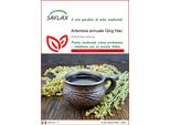 Saflax - Artemisia Annuale Qing Hao - 250 Semi - Artemisia