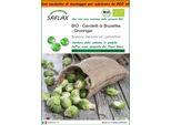 Saflax Garden In The Bag -- Cavoletti Di Bruxelles - Groninger - 30 Semi - Brassica