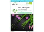 Saflax Set Regalo -- Erba Cipollina - 250 Semi - Allium