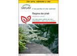 Saflax Insieme Di Coltivazione - Regina Dei Prati - 500 Semi - Filipendula