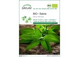 Saflax -- Salvia - 60 Semi - Salvia