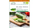 Saflax Garden In The Bag -- Cetriolo - Marketmore - 20 Semi - Cucumis