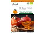 Saflax Garden In The Bag - Bio - Zucca - Hokkaido - 5 Semi - Cucurbita