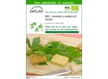 Saflax -- Levistico O Sedano Di Monte - 100 Semi - Con Substrato - Levisticum