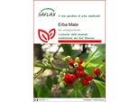Saflax - Erba Mate - 10 Semi - Ilex
