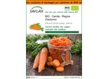 Saflax Garden In The Bag -- Carota - Regina D'autunno - 1000 Semi - Daucus
