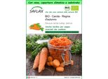 Saflax Garden To Go - Bio - Carota - Regina D'autunno - 1000 Semi - Daucus