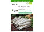 Saflax -- Ravanello - Daikon Giapponese - 100 Semi - Con Substrato - Raphanus