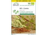 Saflax Insieme Di Coltivazione -- Cumino - 800 Semi - Carum