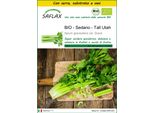 Saflax Insieme Di Coltivazione -- Sedano - Tall Utah - 500 Semi - Apium