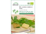 Saflax -- Levistico O Sedano Di Monte - 100 Semi - Levisticum