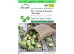 Saflax Garden To Go -- Cavoletti Di Bruxelles - Groninger - 30 Semi - Brassica