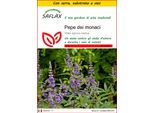 Saflax Insieme Di Coltivazione - Pepe Dei Monaci - 30 Semi - Vitex