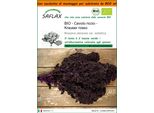 Saflax Garden In The Bag - Bio - Cavolo Riccio - Krauser Rosso - 50 Semi - Brassica