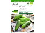 Saflax -- Cetriolo - Vorgebirgstraube - 15 Semi - Con Substrato - Cucumis