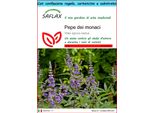 Saflax Set Regalo - Pepe Dei Monaci - 30 Semi - Vitex