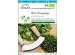Saflax Set Regalo - Bio - Coriandolo - 150 Semi - Coriandrum