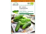 Saflax Garden In The Bag -- Cetriolo - Vorgebirgstraube - 15 Semi - Cucumis