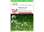 Saflax Garden To Go - Billeri Dei Prati - 100 Semi - Cardamine