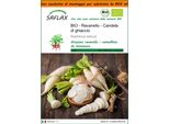 Saflax Garden In The Bag - Bio - Ravanello - Candela Di Ghiaccio - 100 Semi - Raphanus