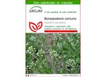 Saflax - Borsapastore Comune - 1000 Semi - Con Substrato - Capsella