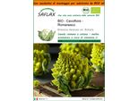 Saflax Garden In The Bag -- Cavolfiore - Romanesco - 50 Semi - Brassica
