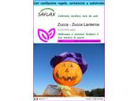 Saflax Set Regalo - Zucca - Zucca Lanterna - 10 Semi - Cucurbita